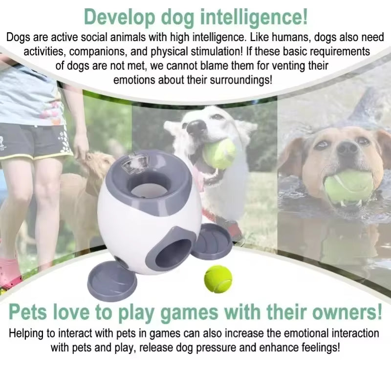 Automatic Dog Ball Launcher – Interactive Toy & Training Feeder for Medium Dogs